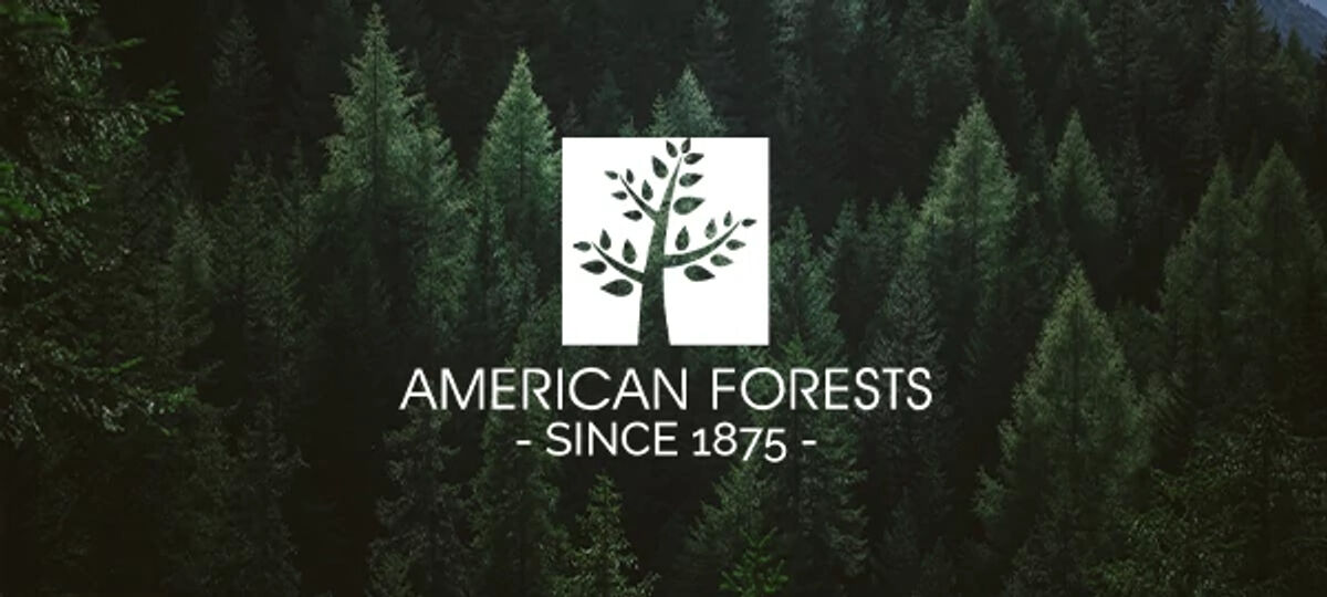 American Forests logo on a background image of a forest American Forests logo on a background image of a forest