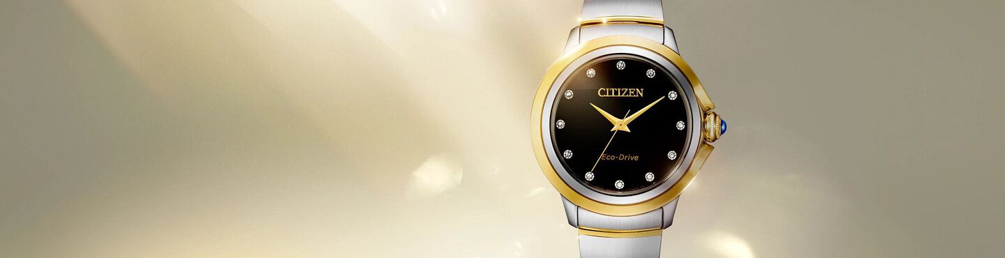 Ceci two-tone women's watch with diamonds.